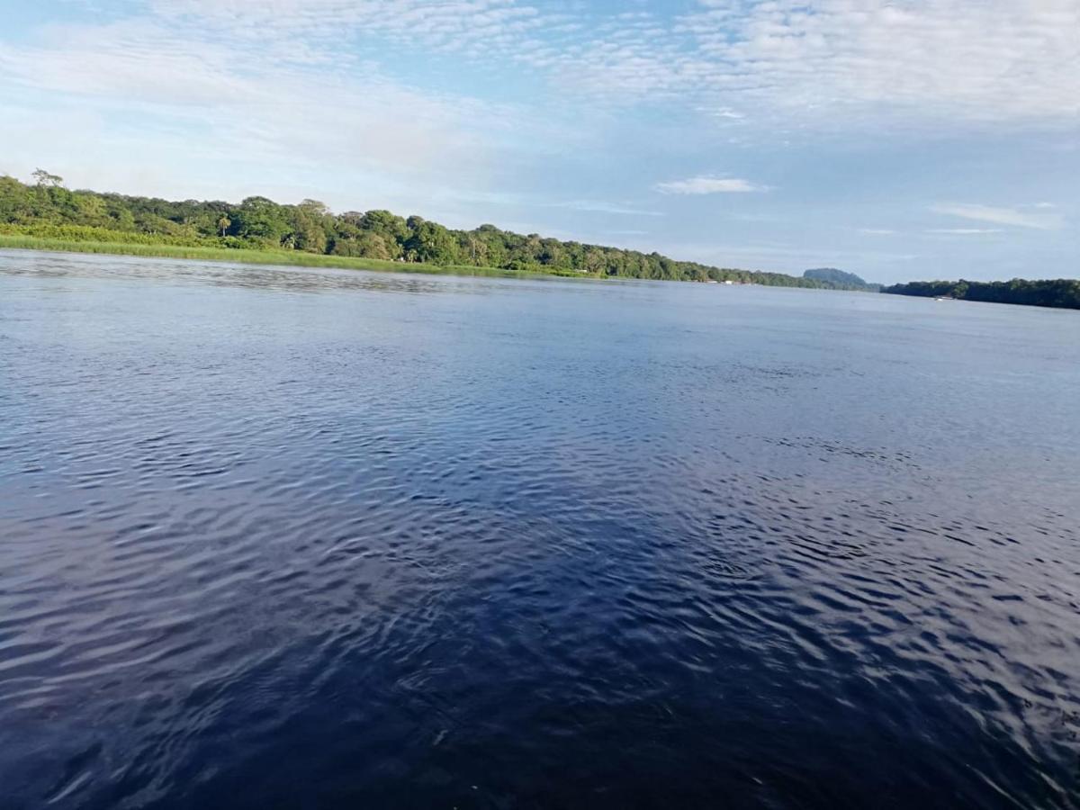 Cabinas Ensuenos Tortuguero Eksteriør billede
